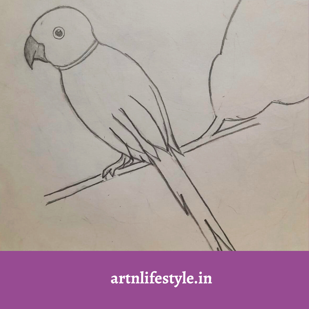 easy drawing ideas - parrot