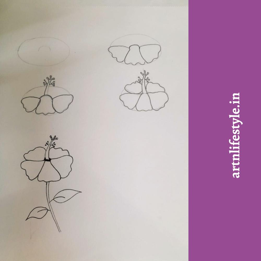 draw hibiscus step by step