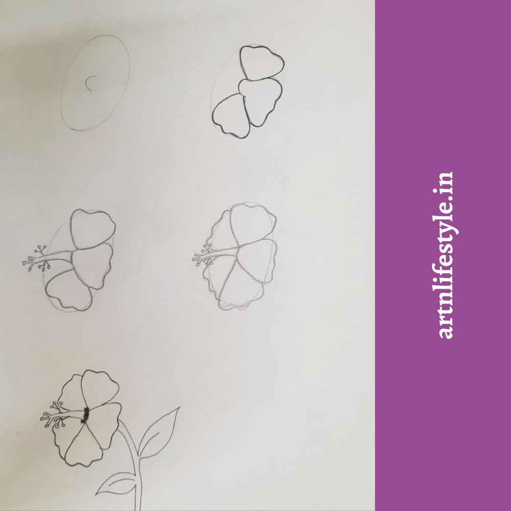 draw hibiscus step by step