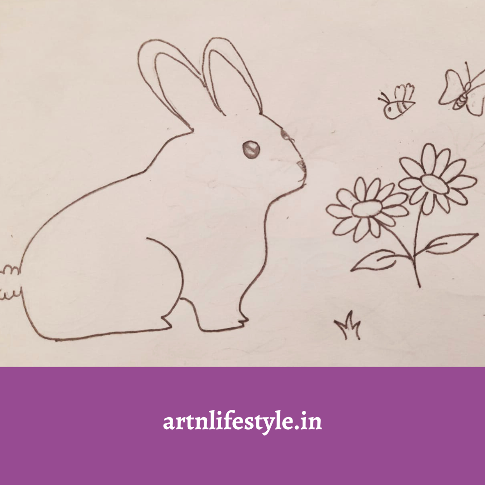 easy bunny drawing
