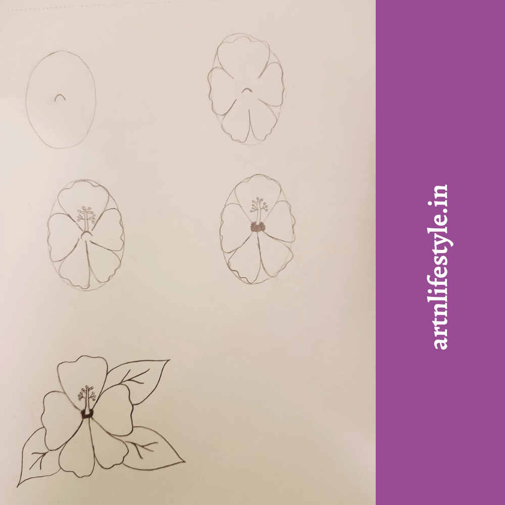 draw hibiscus step by step