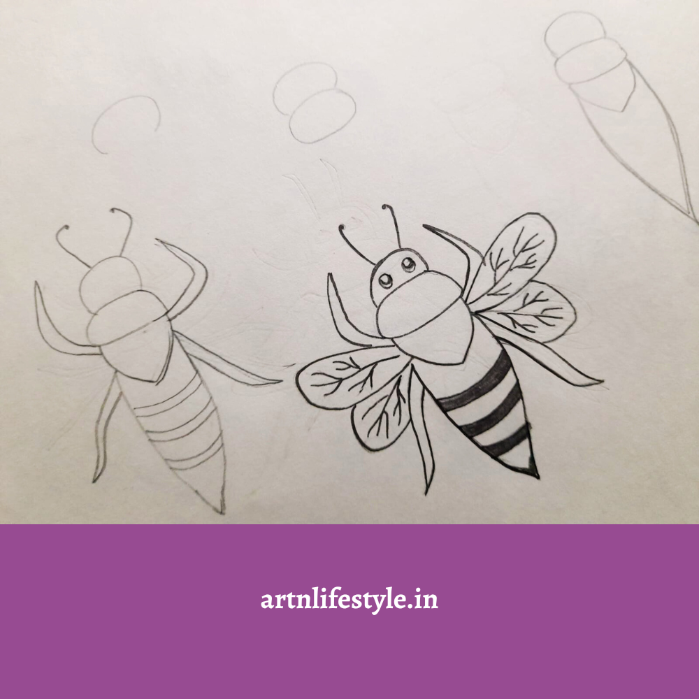 how to draw a honey bee