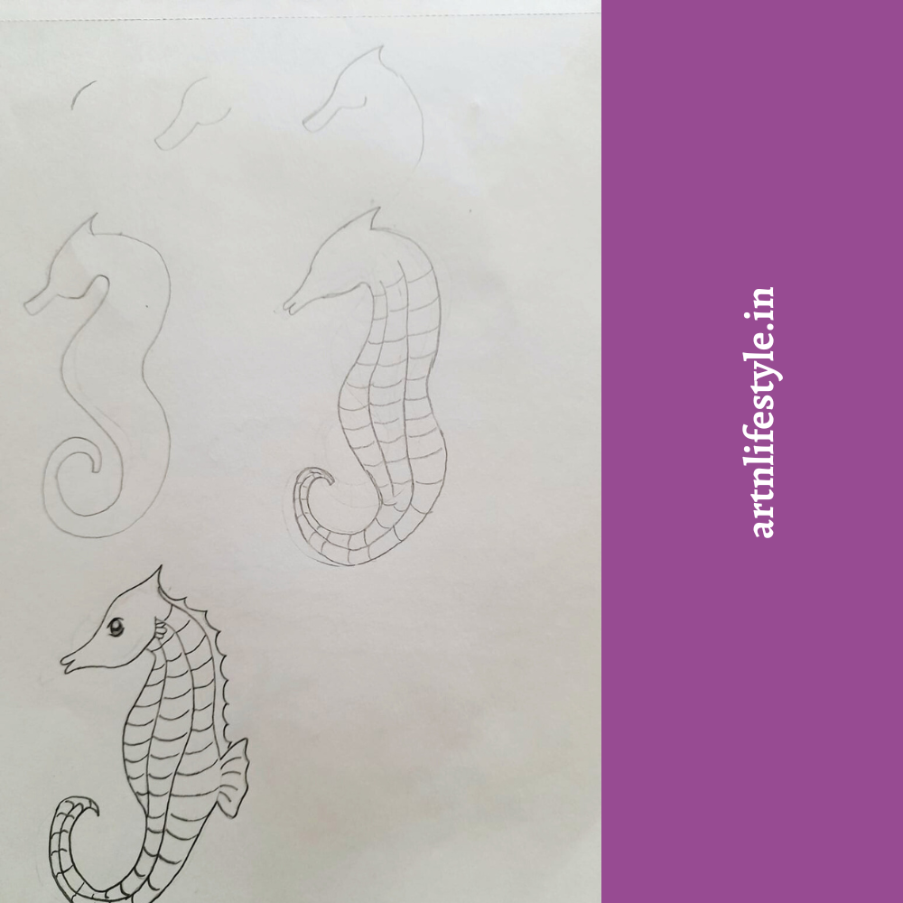 step by step seahorse drawing