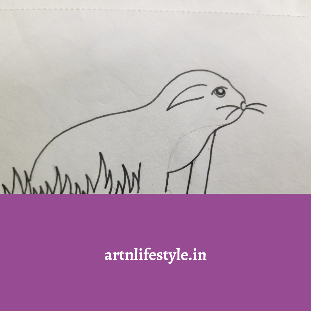 simple otter drawing for kids