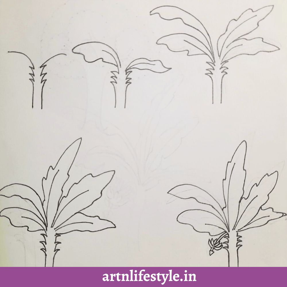 draw a tree for kids 