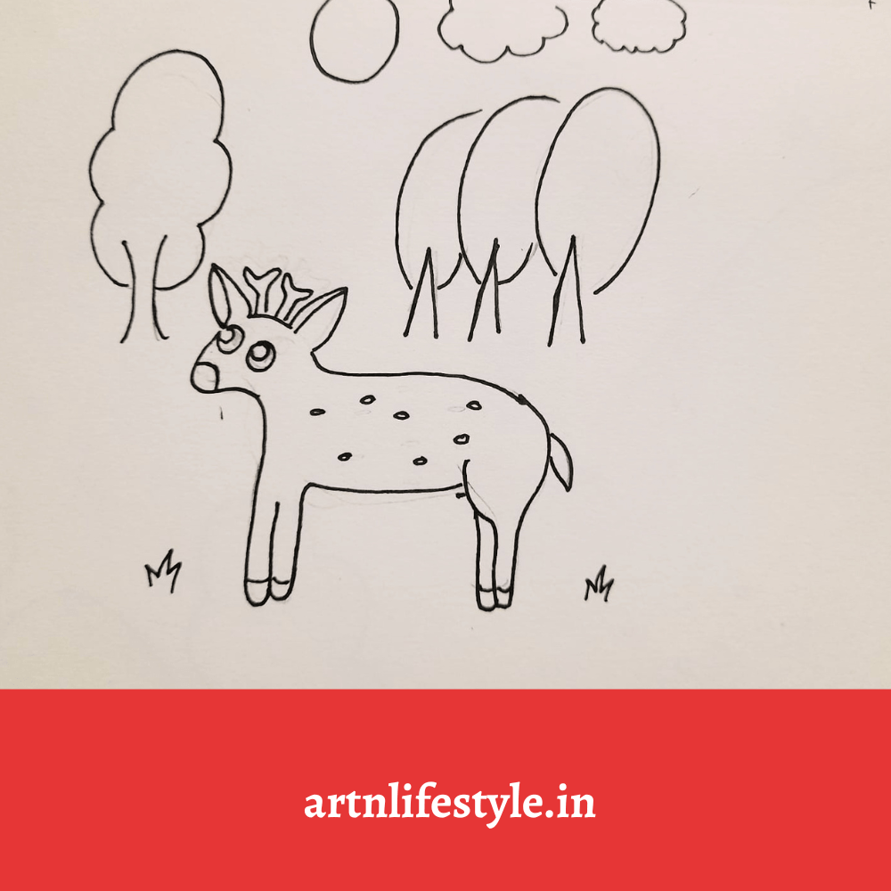 deer drawings